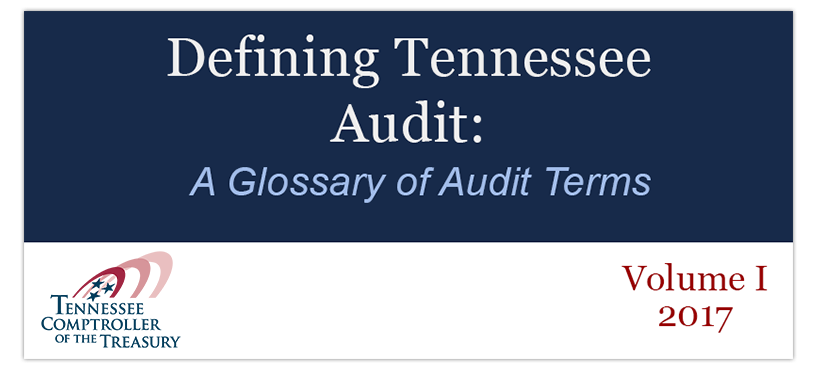 audit glossary